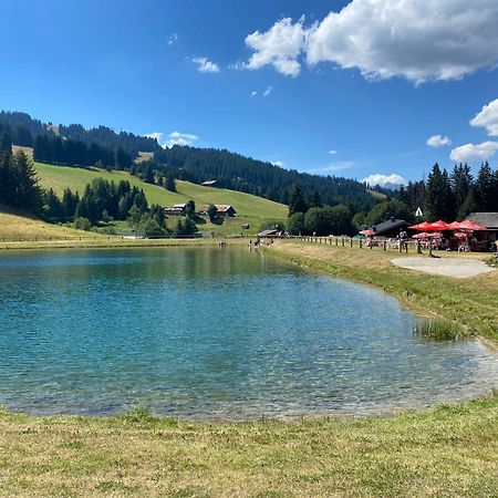 Chaleureux Appartement Renove Ambiance Chalet プラーズ・シュル・アルリー エクステリア 写真