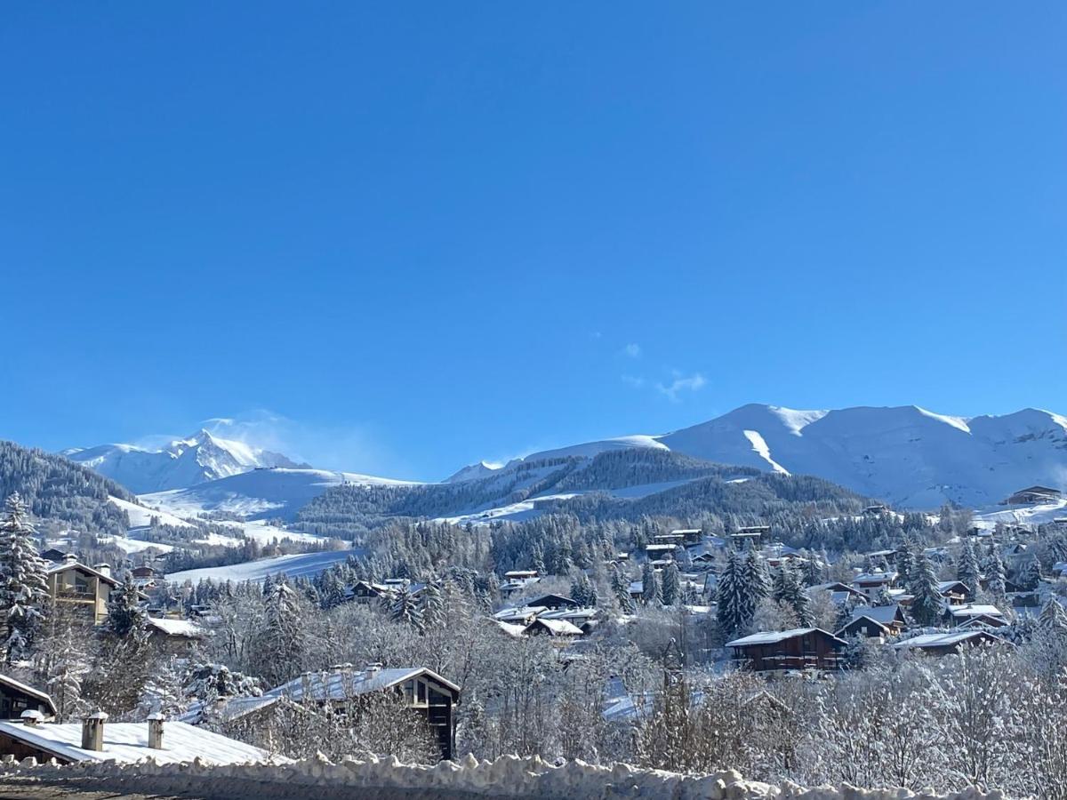 Chaleureux Appartement Renove Ambiance Chalet プラーズ・シュル・アルリー エクステリア 写真