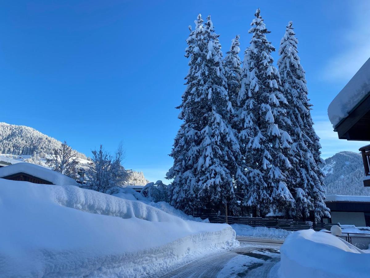 Chaleureux Appartement Renove Ambiance Chalet プラーズ・シュル・アルリー エクステリア 写真