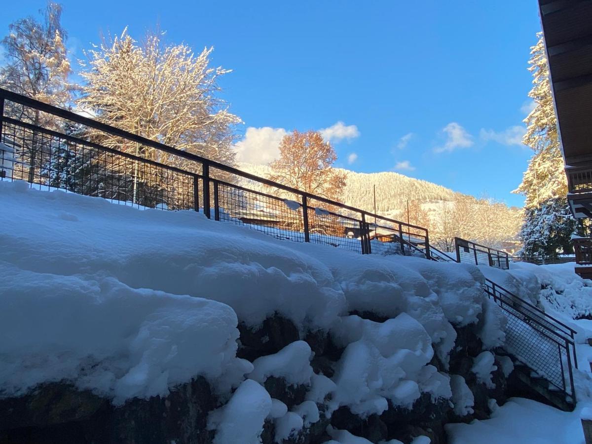 Chaleureux Appartement Renove Ambiance Chalet プラーズ・シュル・アルリー エクステリア 写真