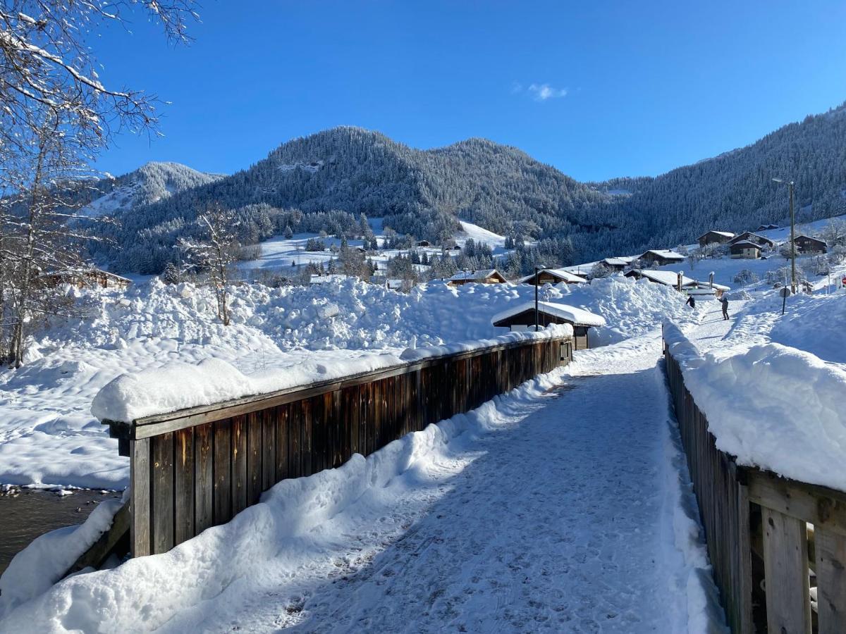 Chaleureux Appartement Renove Ambiance Chalet プラーズ・シュル・アルリー エクステリア 写真